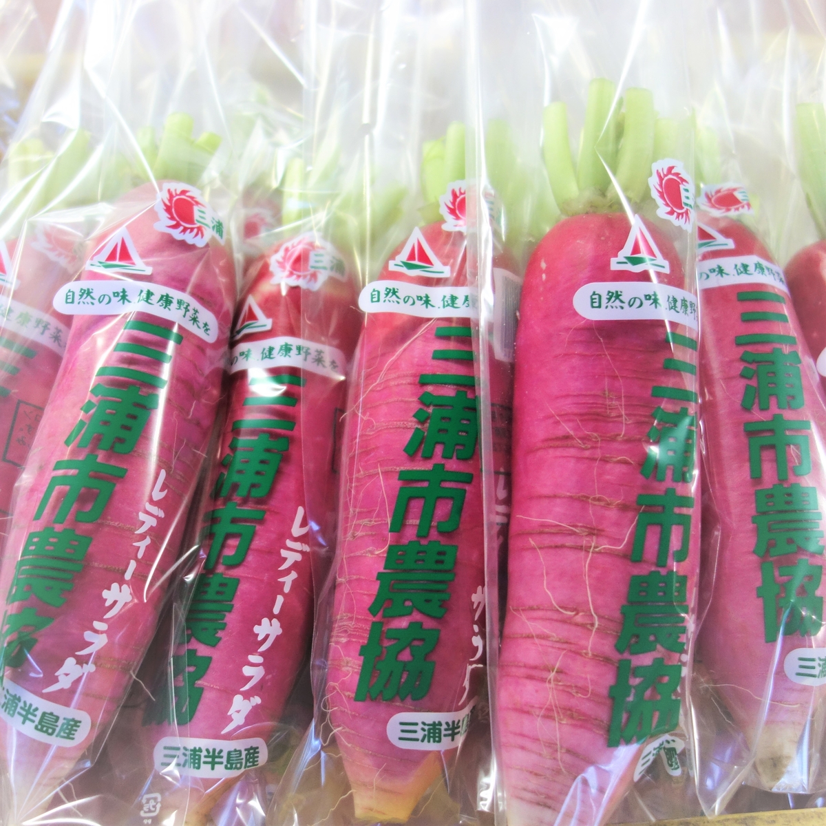 根付け5種　ばら売り可能 楽天市場】【ふるさと納税】冷凍 一口 からし蓮根 500g おつまみ 惣菜